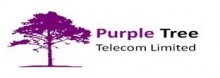 Purple Tree Communications