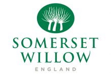 Somerset Willow England