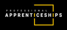 Professional Apprenticeships LTD