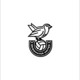 Bridgwater United Women’s Football Club