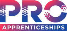 Professional Apprenticeships Ltd (T/A Pro Apprenticeships)